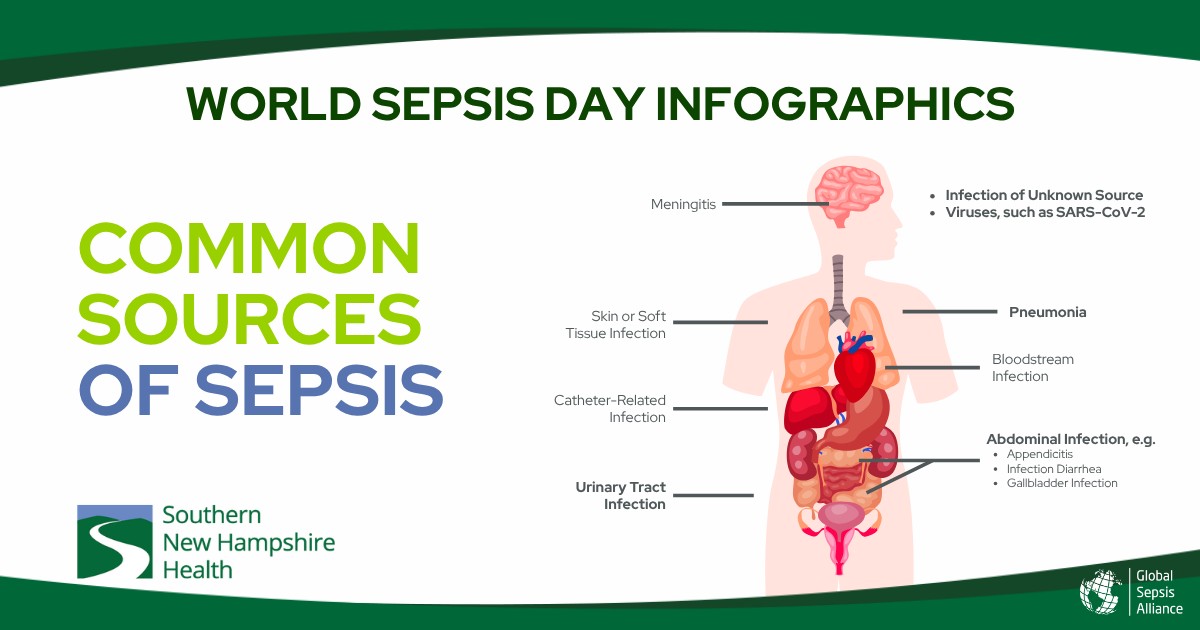 sources of sepsis. how you get sepsis