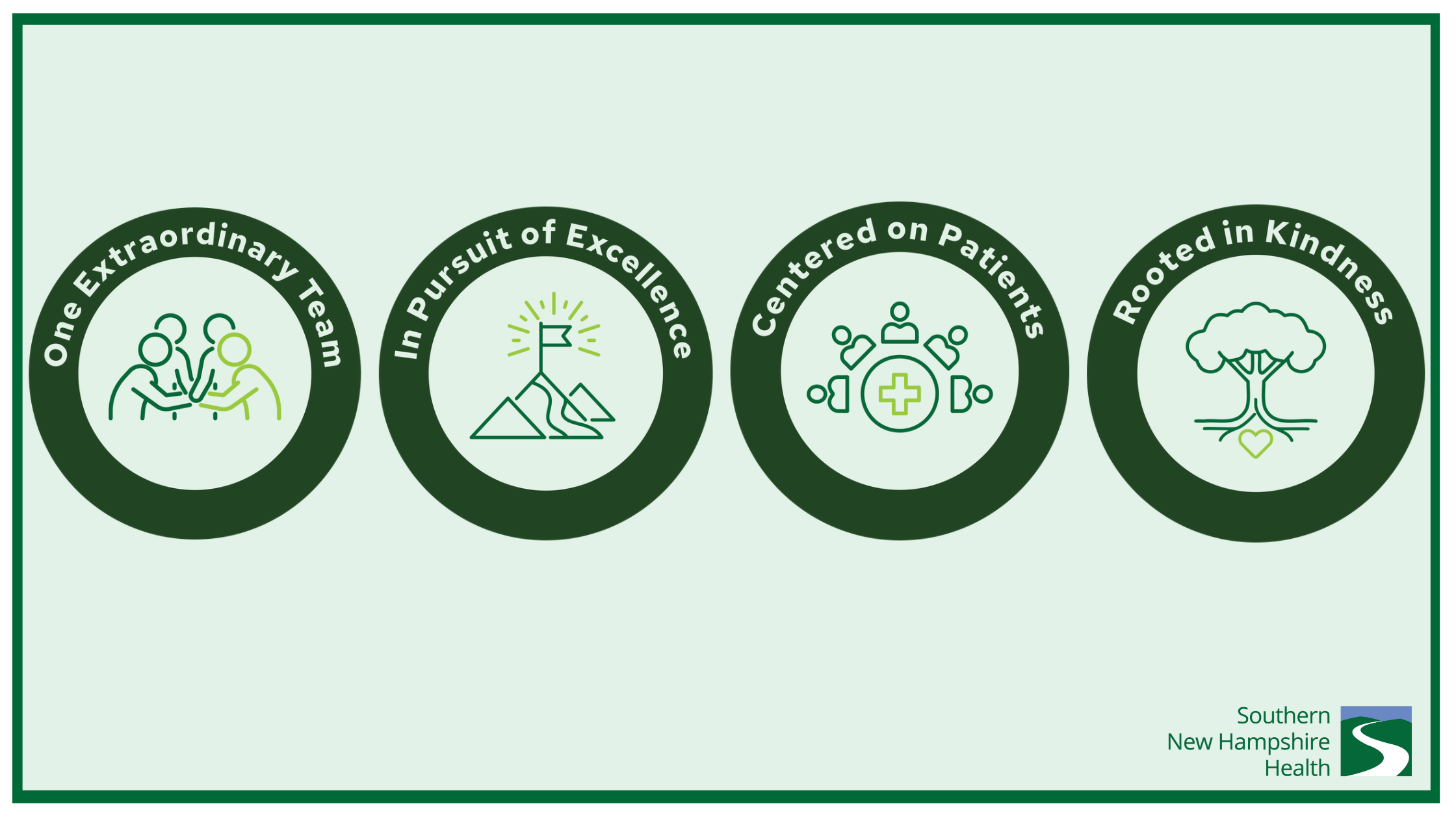 The Values that Guide our Mission, Vison and Care