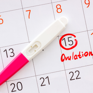 How Early Can You Take an Ovulation or Pregnancy Test?